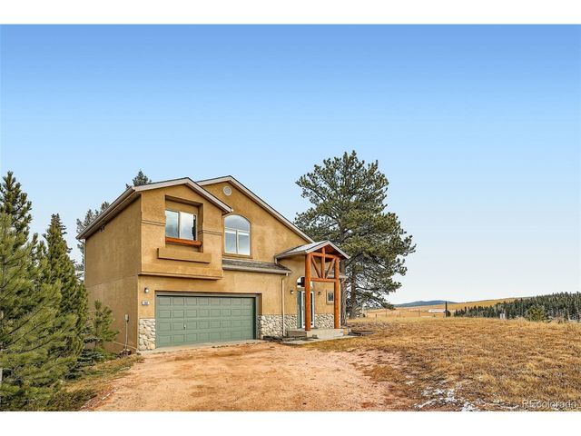 190 Shannon Pl, Divide, CO 80814