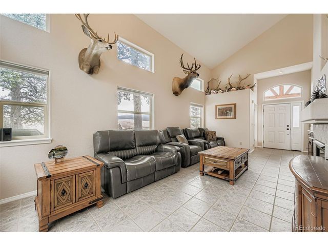 190 Shannon Pl, Divide, CO 80814