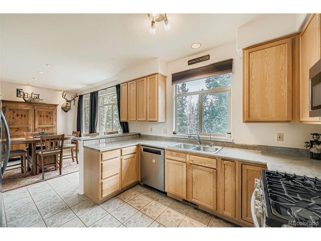 190 Shannon Pl, Divide, CO 80814