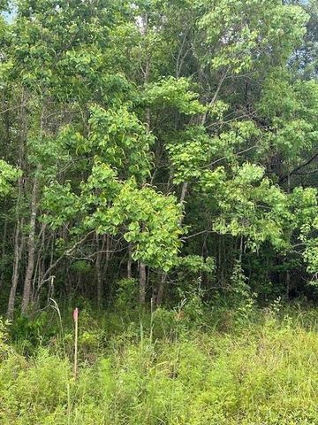 TBD 1 County Road 2223-B, Cleveland, TX 77327