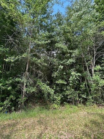 TBD 1 County Road 2223-B, Cleveland, TX 77327
