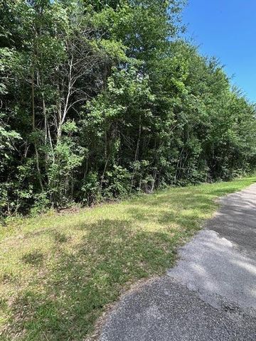 TBD 1 County Road 2223-B, Cleveland, TX 77327