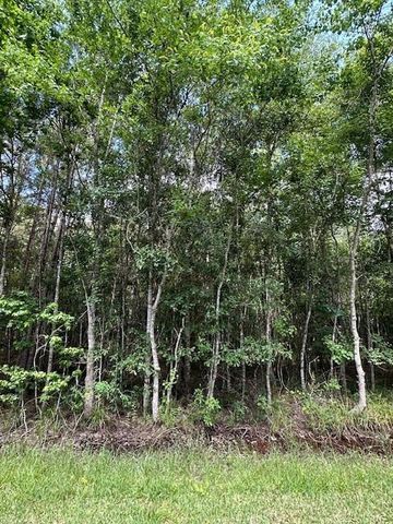 TBD 1 County Road 2223-B, Cleveland, TX 77327