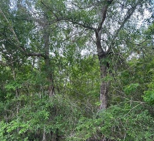 TBD 1 County Road 2223-B, Cleveland, TX 77327