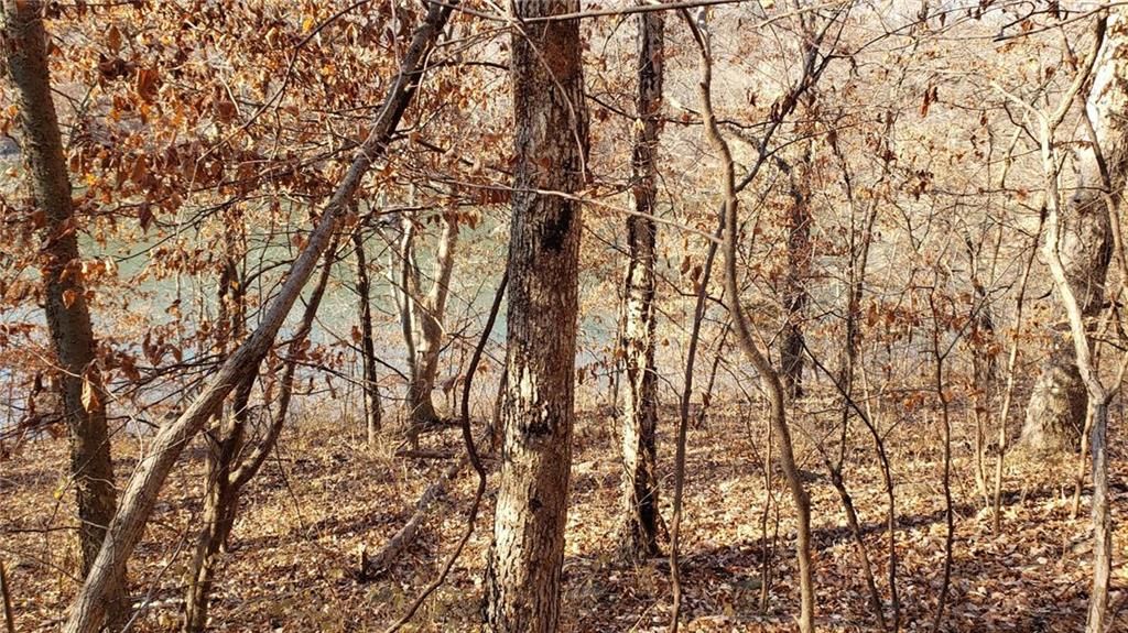 6004 West Shore Court, Parkville, MO 64152