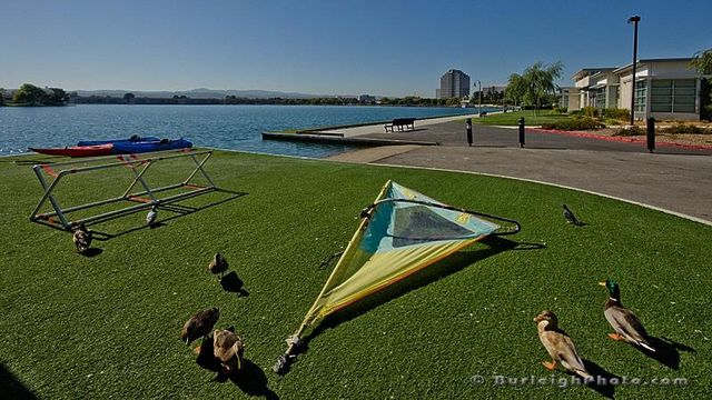 916 Beach Park Boulevard 65, Foster City, CA 94404