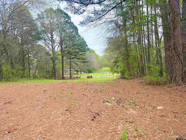 10933 County Road 384, Tyler, TX 75708
