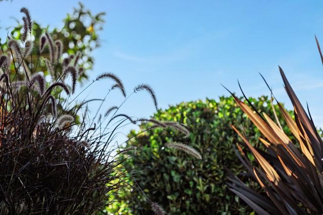 213 Sand Street, Aptos, CA 95003