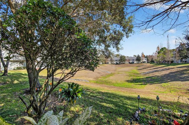 209 SAWTOOTH DRIVE, Valrico, FL 33594