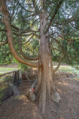 19 N Ash St, Spokane, WA 99201