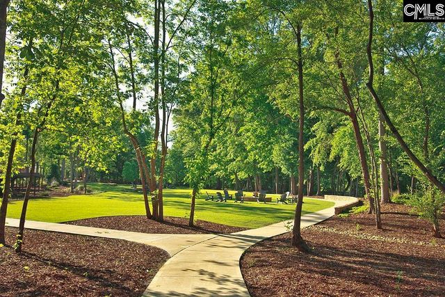 541 Dreher Locks Road, Lexington, SC 29072