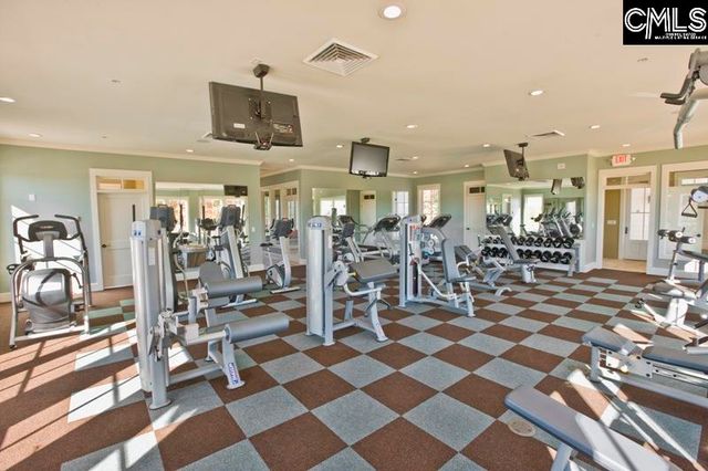 541 Dreher Locks Road, Lexington, SC 29072