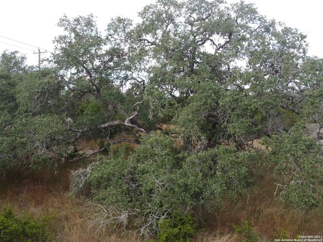 558 MYSTIC BREEZE, Spring Branch, TX 78070