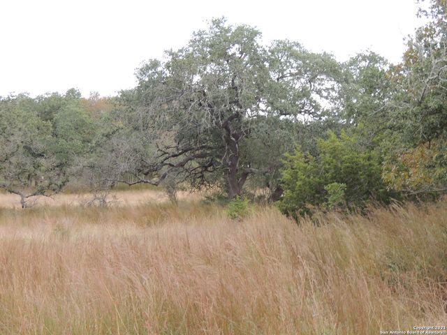 558 MYSTIC BREEZE, Spring Branch, TX 78070