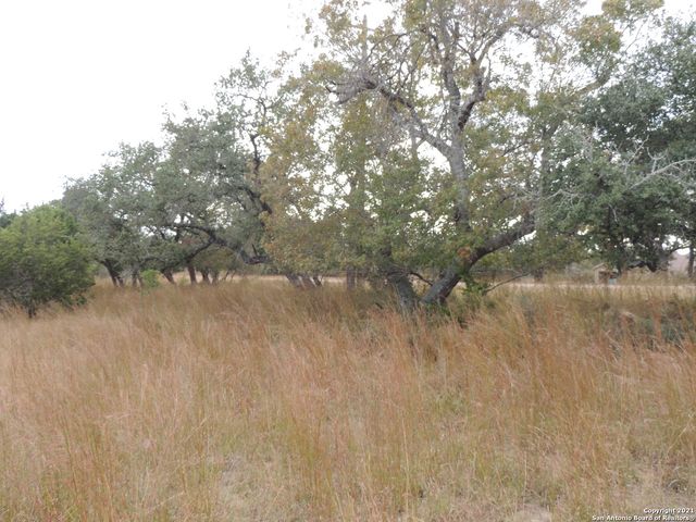 558 MYSTIC BREEZE, Spring Branch, TX 78070