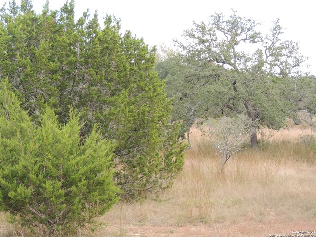 558 MYSTIC BREEZE, Spring Branch, TX 78070