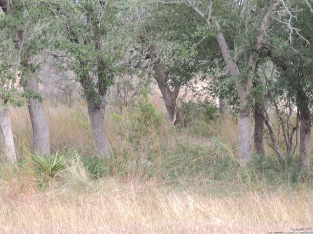 558 MYSTIC BREEZE, Spring Branch, TX 78070