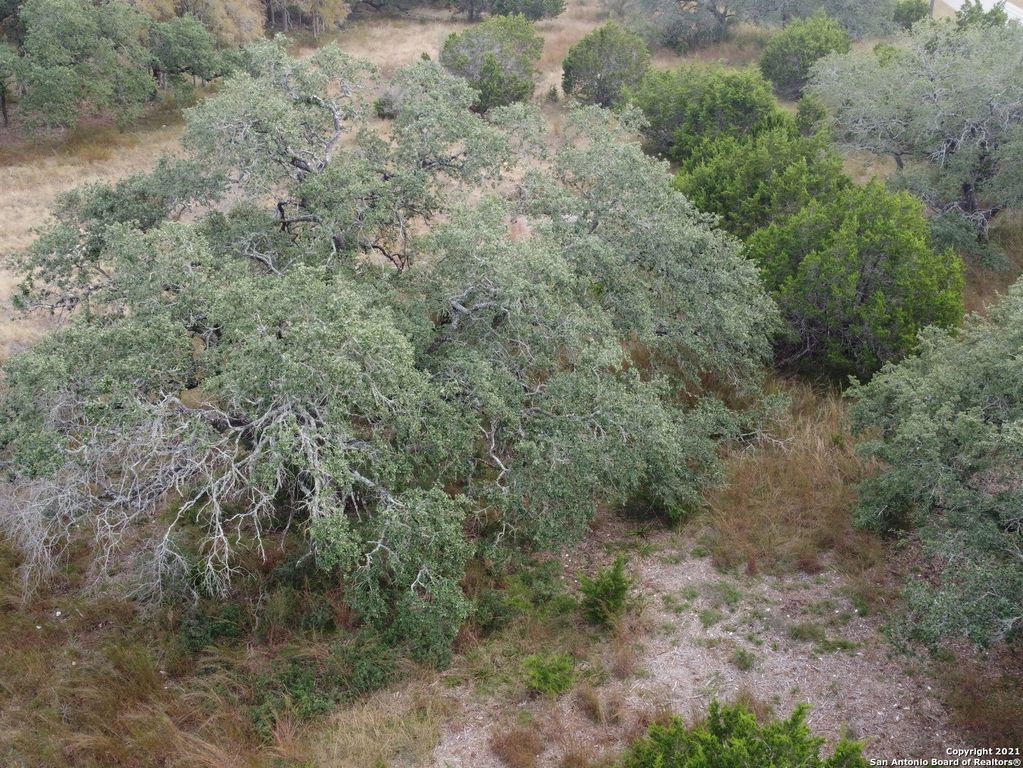 558 MYSTIC BREEZE, Spring Branch, TX 78070