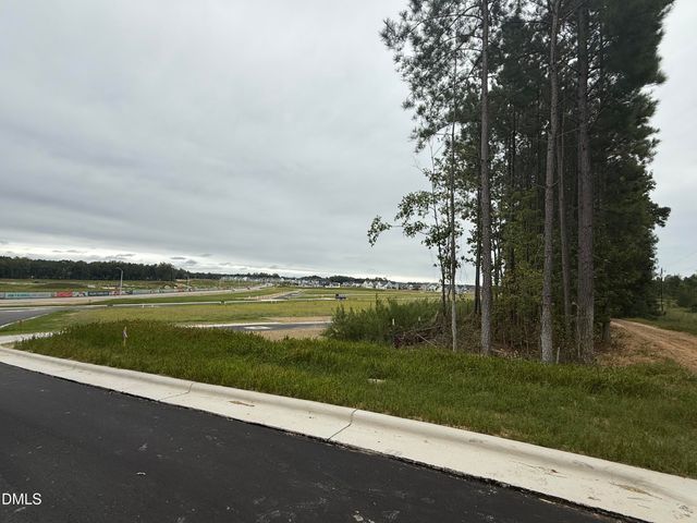 1012 Poinsettia Lane, Wendell, NC 27591