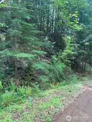 12 Dow Ridge Road, Hoodsport, WA 98548