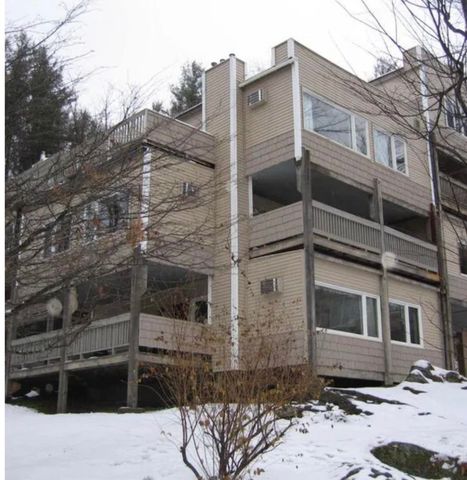 199 Mountainside Drive, Stowe, VT 05672