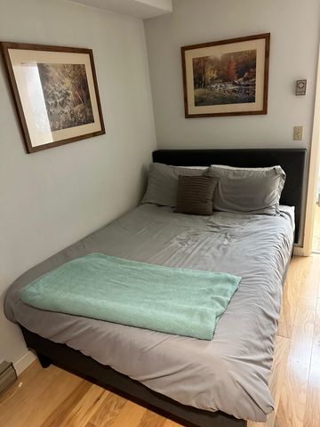 199 Mountainside Drive, Stowe, VT 05672