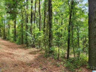 W COUNTY ROAD 10, Montevallo, AL 35115