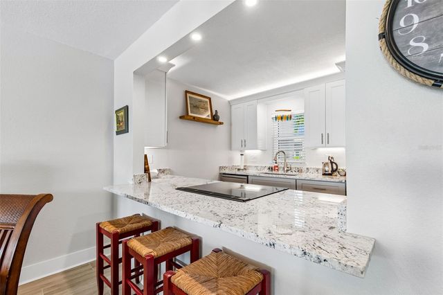 7540 BAY ISLAND DRIVE S 162, South Pasadena, FL 33707