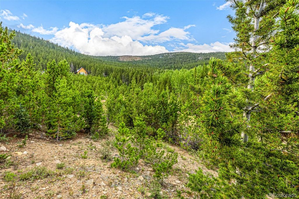 Aspen Road, Idaho Springs, CO 80452
