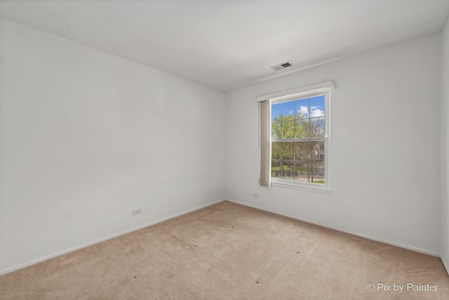265 Buckingham Court C2, Schaumburg, IL 60193
