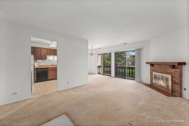 265 Buckingham Court C2, Schaumburg, IL 60193