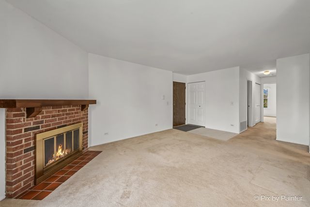 265 Buckingham Court C2, Schaumburg, IL 60193