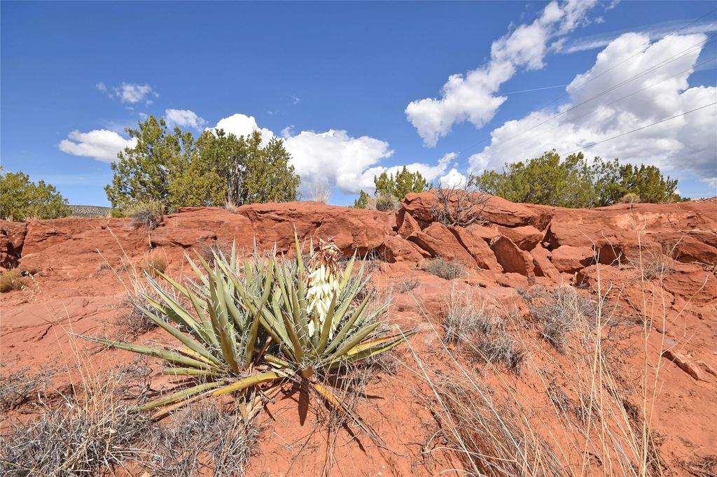 Image 2 of property listing at Lot 16 Unit 2 Jemez Canyon Estates, Jemez Pueblo, NM 87025