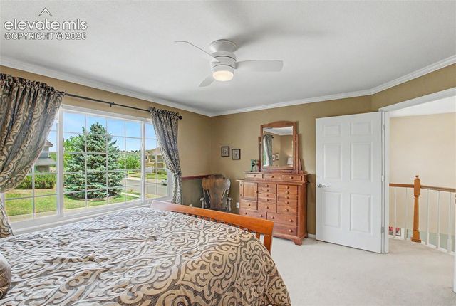 4510 Eileen Court, Colorado Springs, CO 80919