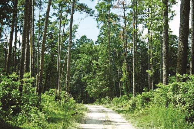 157 Rock Ranch Drive, New Waverly, TX 77358