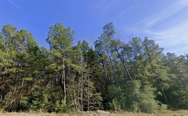 157 Rock Ranch Drive, New Waverly, TX 77358