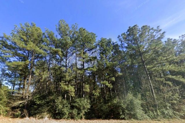 157 Rock Ranch Drive, New Waverly, TX 77358