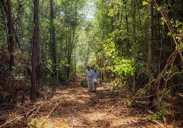 157 Rock Ranch Drive, New Waverly, TX 77358