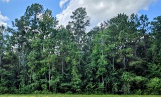 157 Rock Ranch Drive, New Waverly, TX 77358