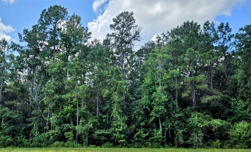 157 Rock Ranch Drive, New Waverly, TX 77358