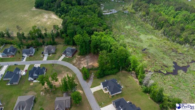 3141 Woodside Dr., Effingham, SC 29541