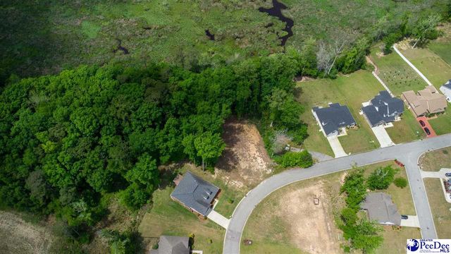 3141 Woodside Dr., Effingham, SC 29541