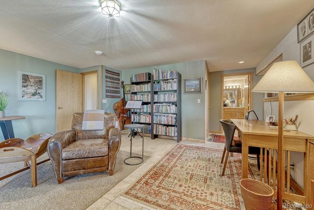 6738 Condor Run, Littleton, CO 80125