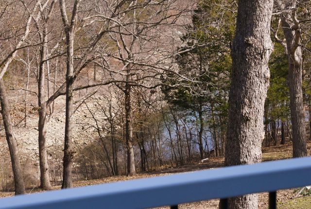 139 Lakeshore Drive, Kimberling City, MO 65686