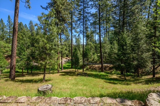 3950 Frog Hollow Dr, Placerville, CA 95667