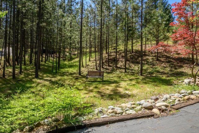 3950 Frog Hollow Dr, Placerville, CA 95667