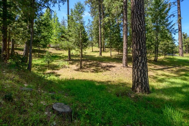 3950 Frog Hollow Dr, Placerville, CA 95667