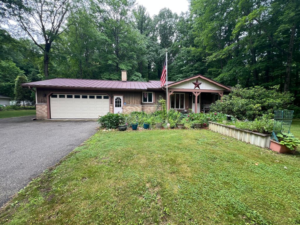 250 E 88th Street, Brooks Twp, MI 49337