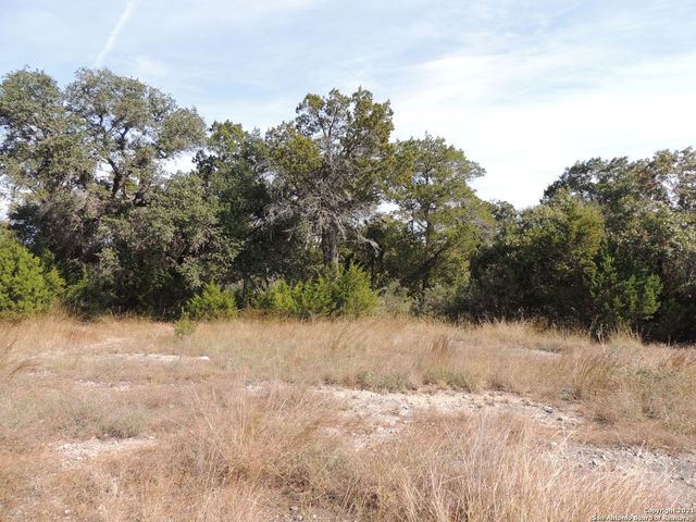 1203 MYSTIC PKWY, Spring Branch, TX 78070