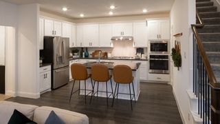 1133 Saltbrush Mews, Celina, TX 75009